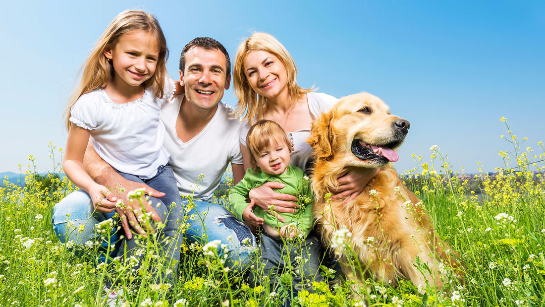 How To Let Your Dog Enjoy Family Time