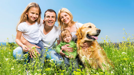 How To Let Your Dog Enjoy Family Time