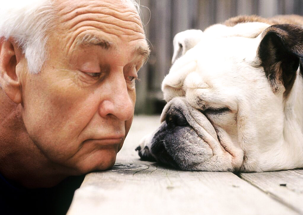 Interesting Old Dog Tricks: For Dog Owners Looking For Fun & Laughter