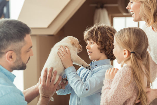 How To Train Your Puppy The Right Way – Introducing Your Puppy To Your Home And Family