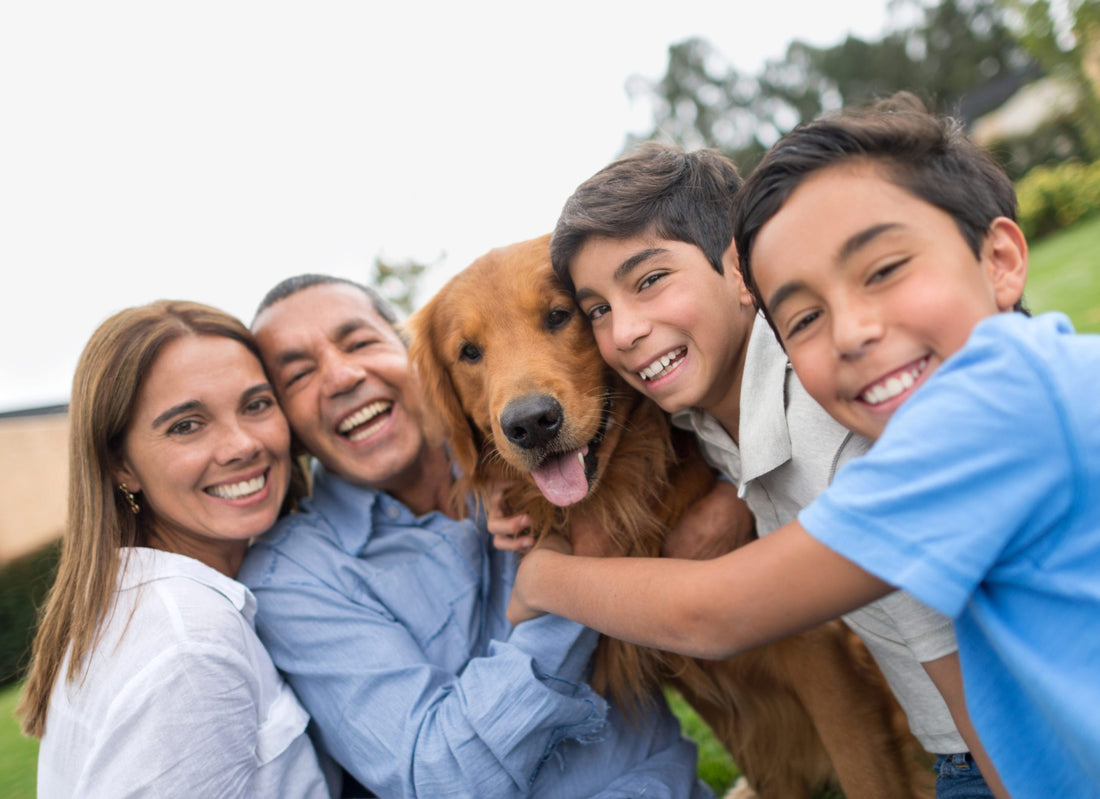 How Owning A Dog Can Improve Your Health