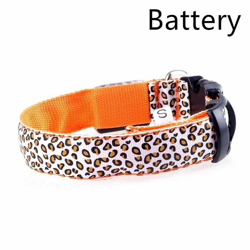 Rechargeable LED Dog Collar