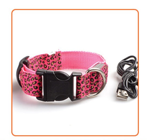 Rechargeable LED Dog Collar