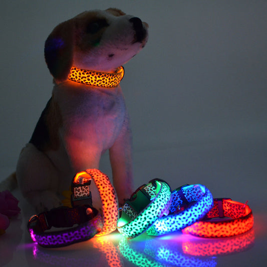 Rechargeable LED Dog Collar