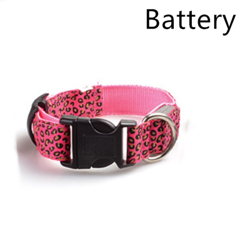 Rechargeable LED Dog Collar