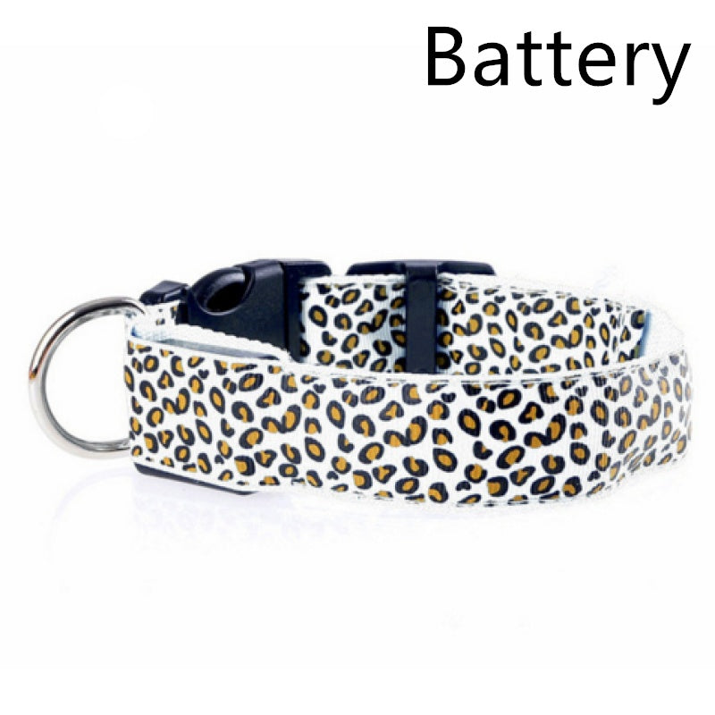 Rechargeable LED Dog Collar