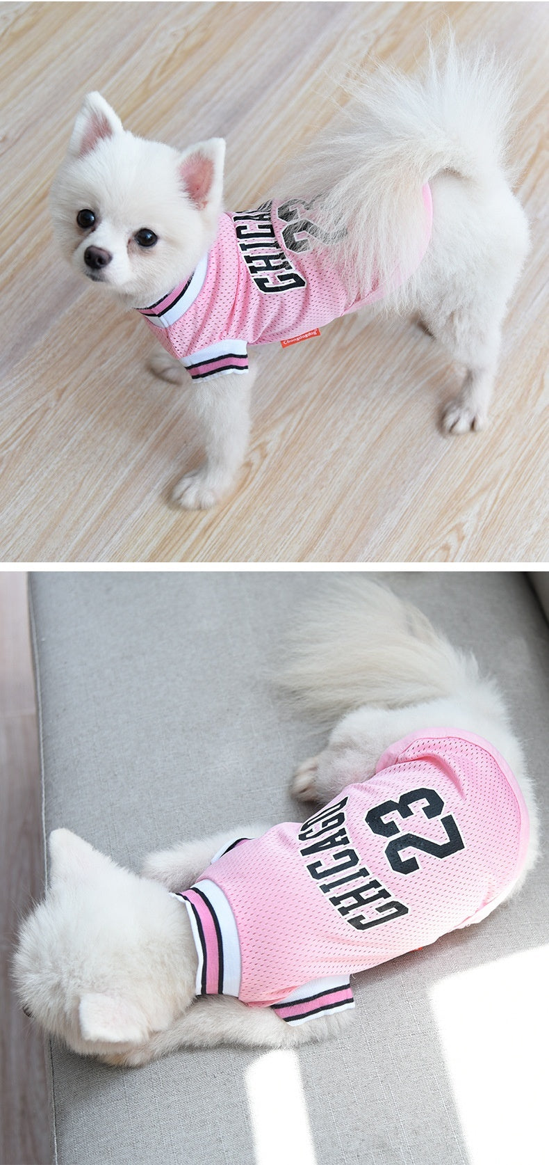 Dog Basketball Summer Vest Armless