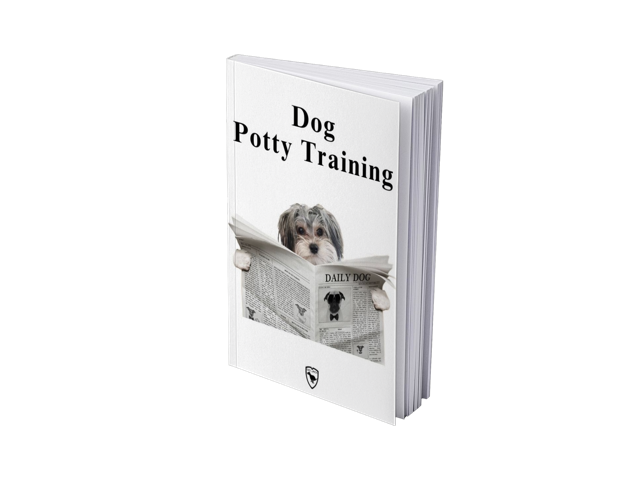 Dog Potty Training